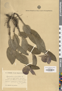 LE 01031724
