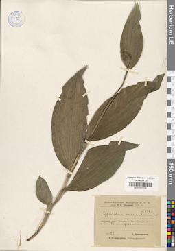LE 01031725