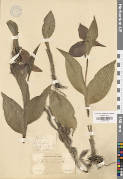 LE 01031730