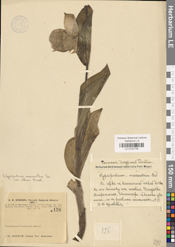 LE 01031755