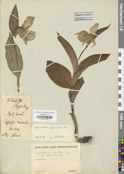LE 01031760