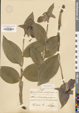 LE 01031766