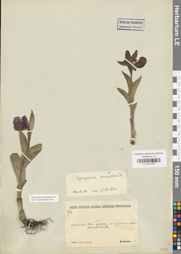 LE 01031767