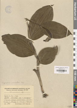 LE 01031770
