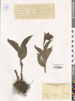 LE 01031772