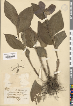 LE 01031773