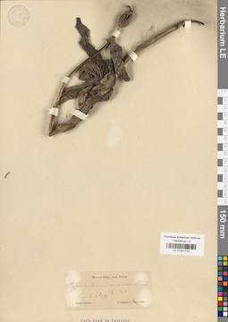 LE 01031774
