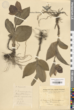 LE 01031775
