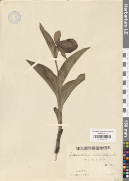 LE 01031776