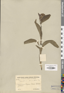 LE 01031777