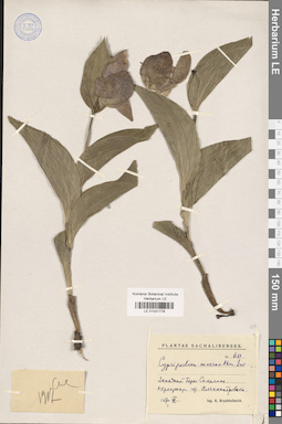 LE 01031778