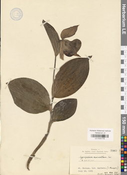 LE 01031779