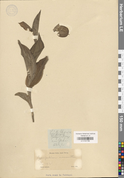 LE 01031789