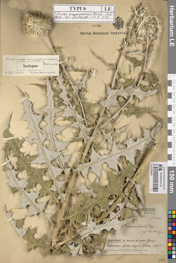 LE 01260802