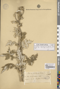 LE 01260806