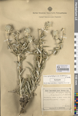 LE 01260828