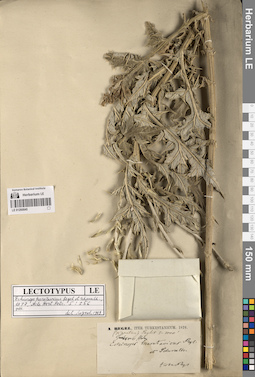 LE 01260840