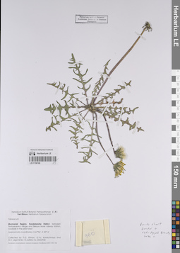 LE 01190168