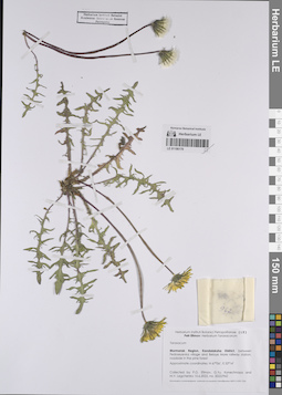 LE 01190170