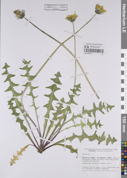 LE 01190171