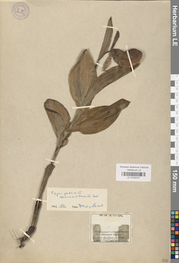 LE 01032237