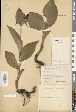 LE 01032252
