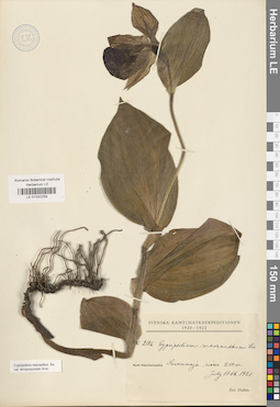 LE 01032259