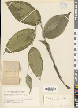 LE 01032262