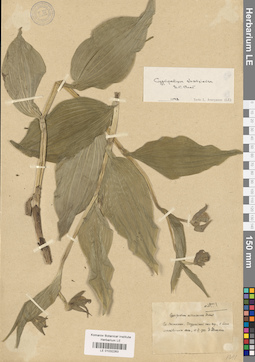 LE 01032263