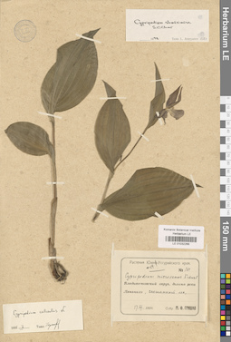 LE 01032266