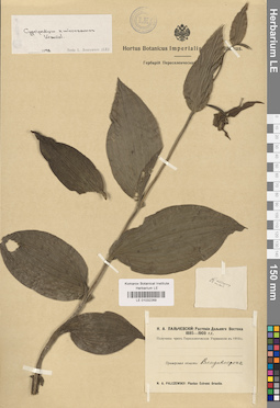 LE 01032269