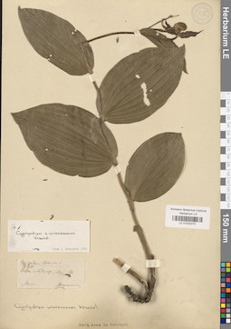 LE 01032270