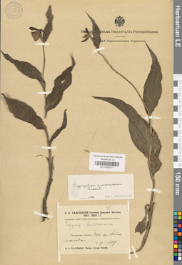 LE 01032271