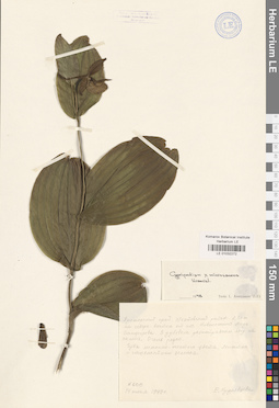 LE 01032272