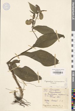 LE 01032276