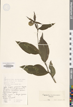 LE 01032280