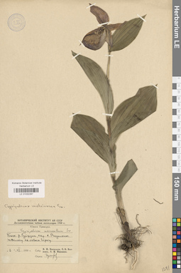 LE 01032287
