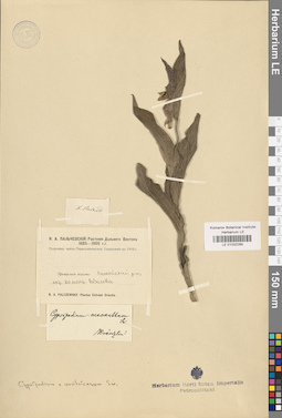 LE 01032289