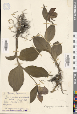 LE 01032293
