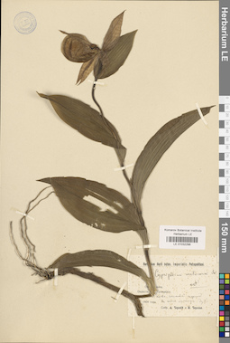 LE 01032298