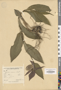 LE 01032301