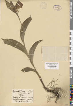 LE 01032303