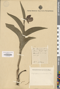 LE 01032308