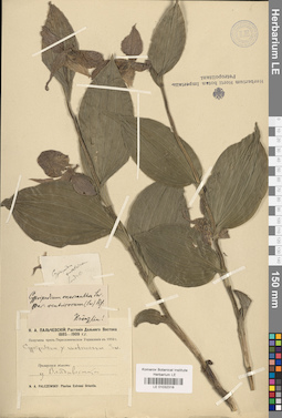 LE 01032318