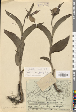 LE 01032320