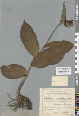 LE 01032324