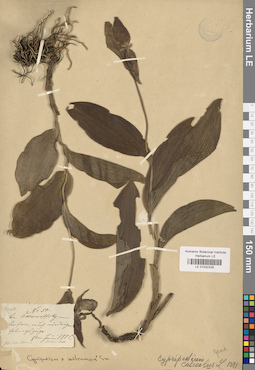 LE 01032328