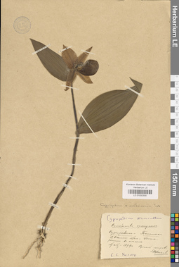 LE 01032330