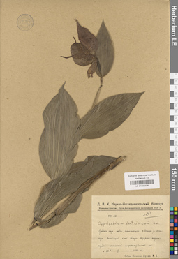 LE 01032338