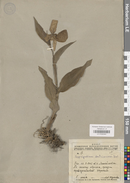 LE 01032343